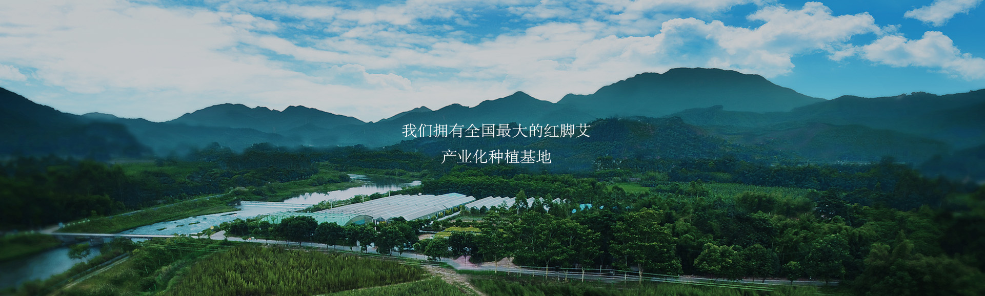 基地